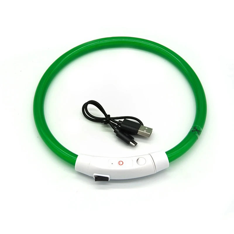 Night Safety LED Glowing Dog Collar