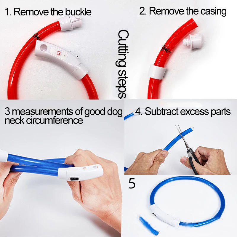 Night Safety LED Glowing Dog Collar