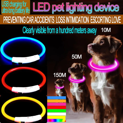 Night Safety LED Glowing Dog Collar