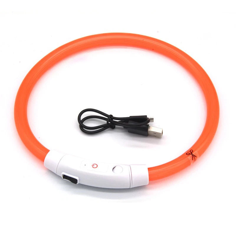 Night Safety LED Glowing Dog Collar