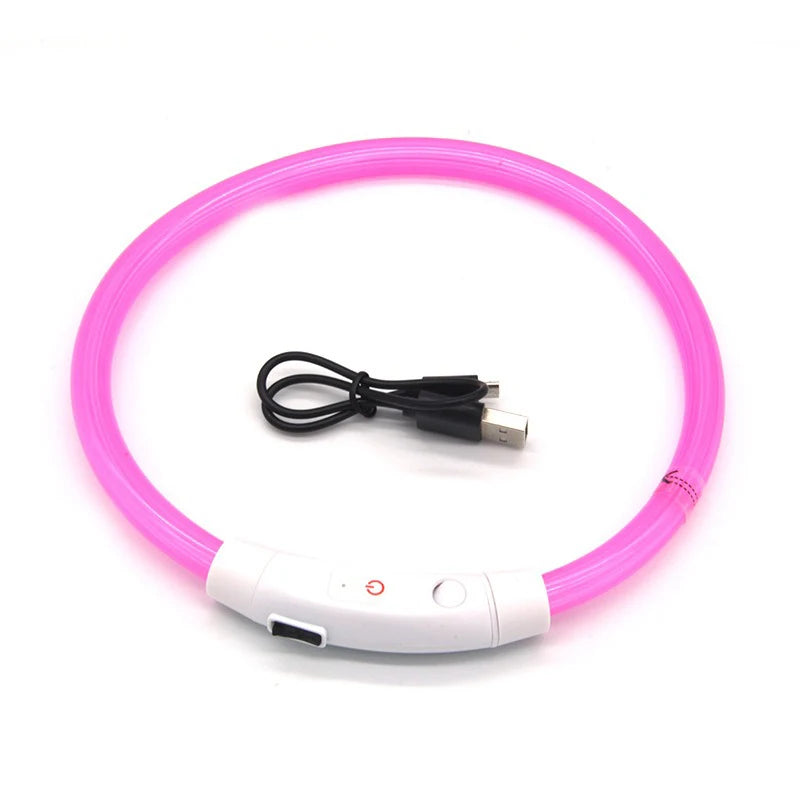 Night Safety LED Glowing Dog Collar