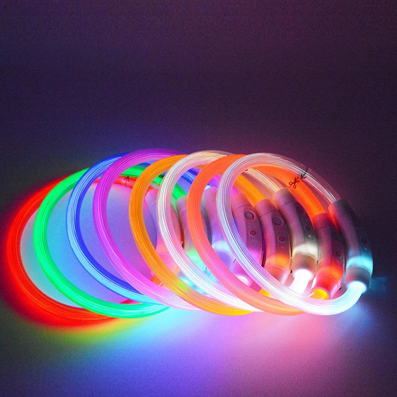 Night Safety LED Glowing Dog Collar