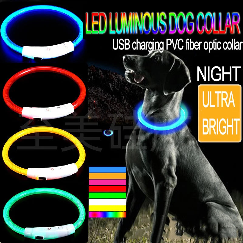 Night Safety LED Glowing Dog Collar
