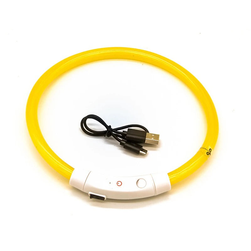 Night Safety LED Glowing Dog Collar