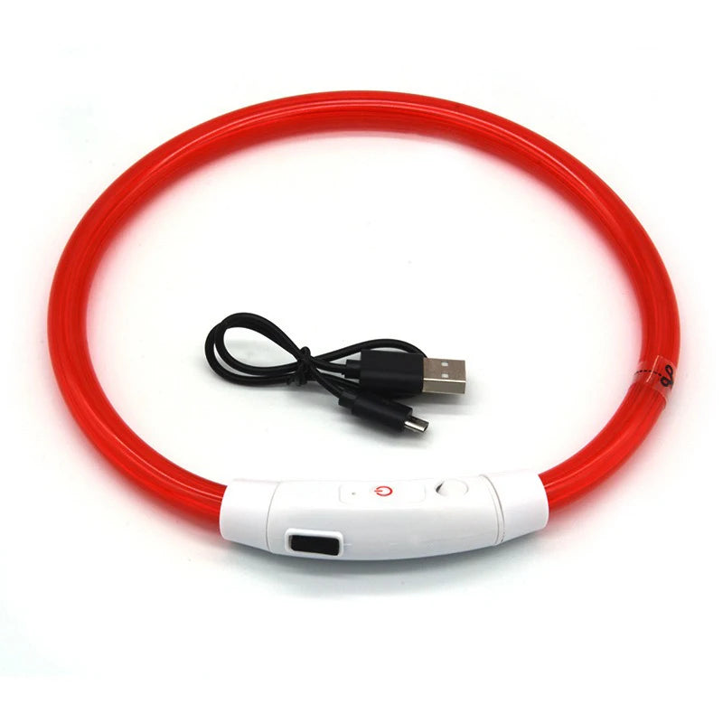 Night Safety LED Glowing Dog Collar
