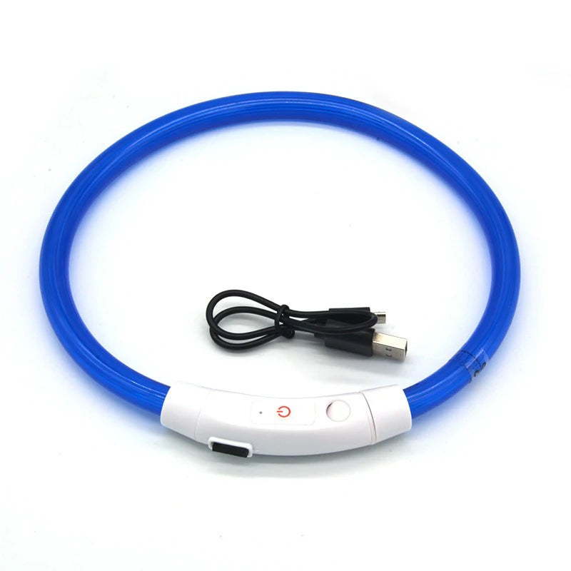 Night Safety LED Glowing Dog Collar